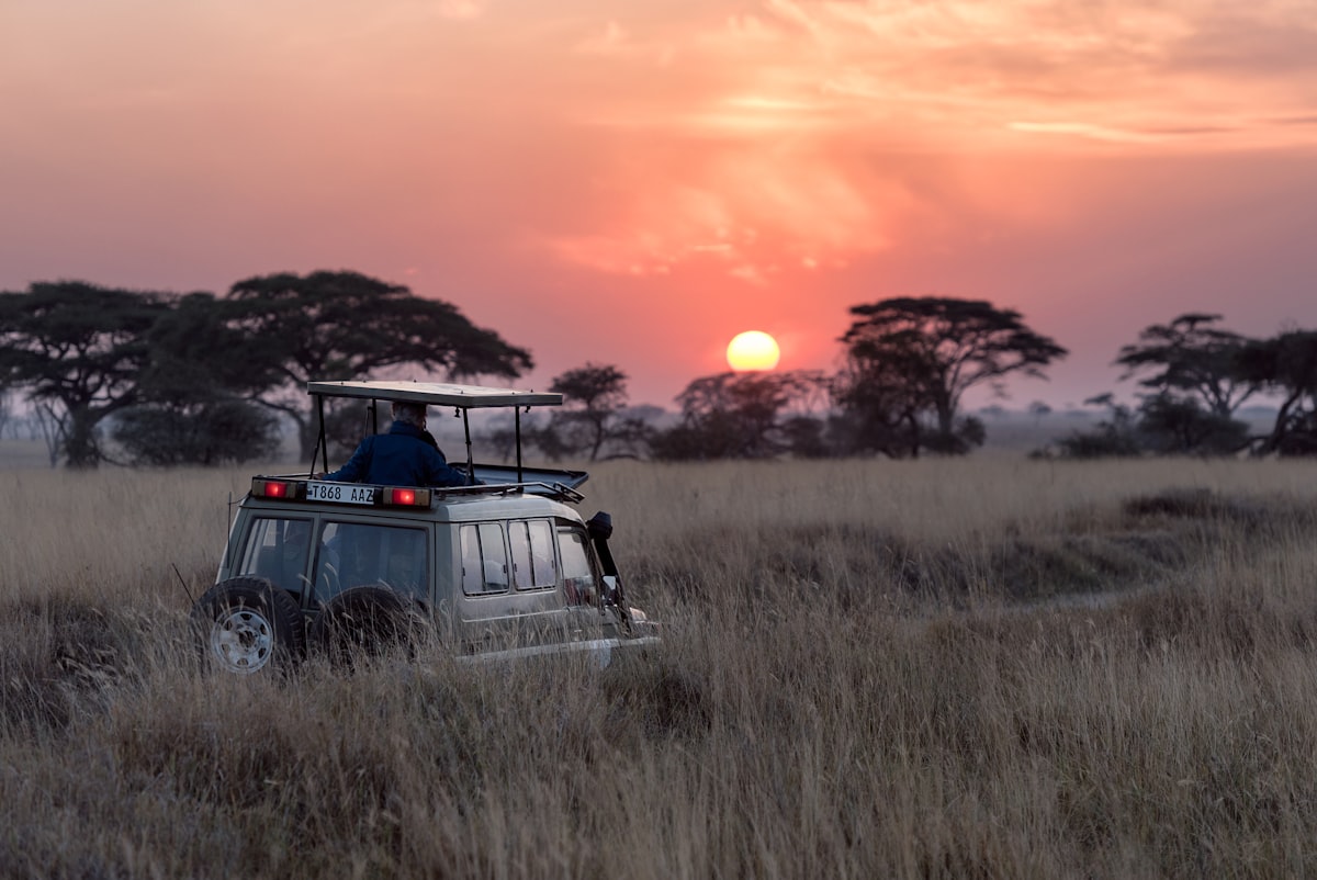 Africa Safari