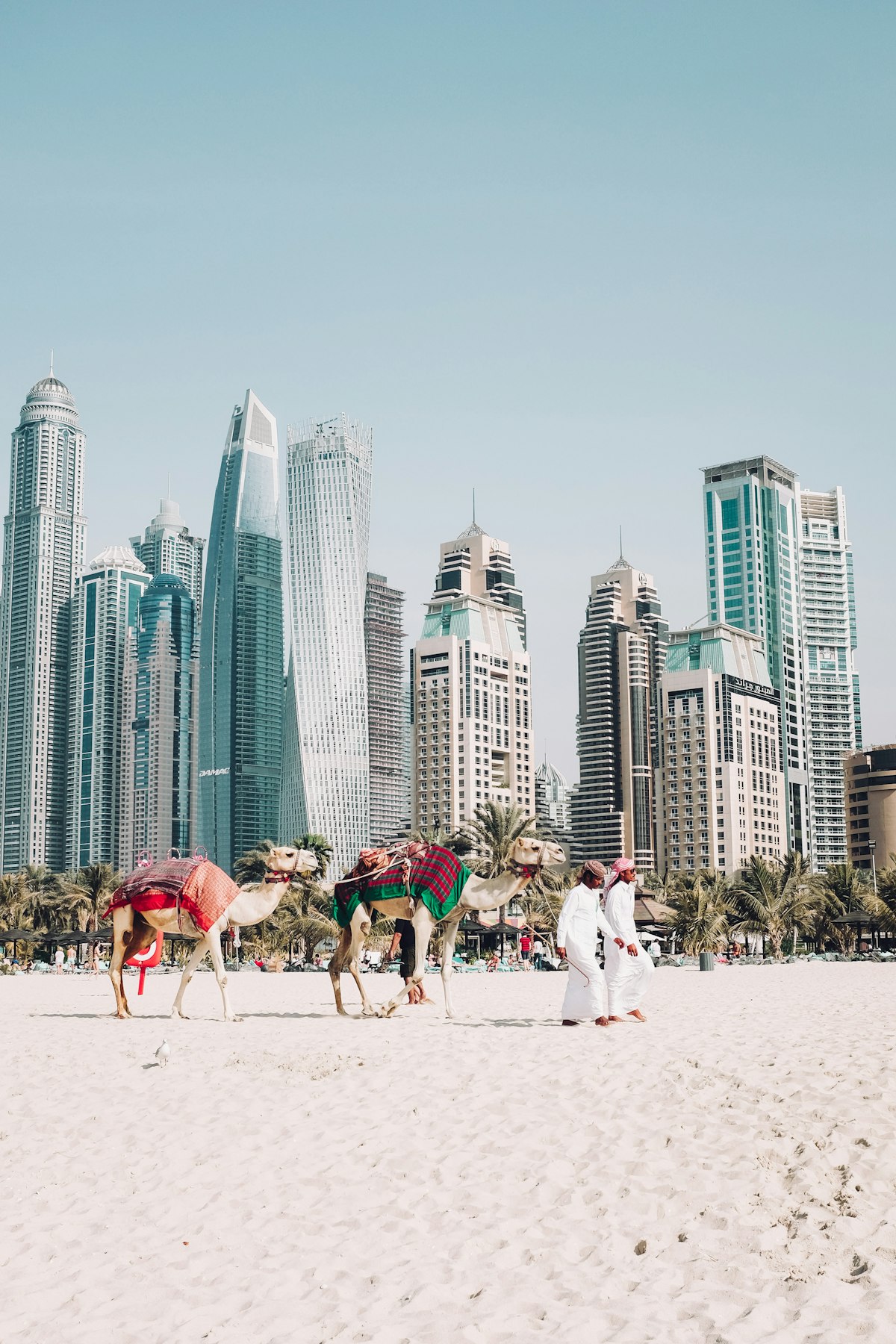 Middle East Dunes
